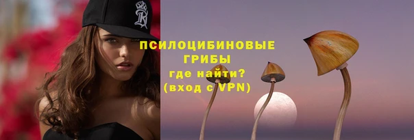 соль ск Аркадак