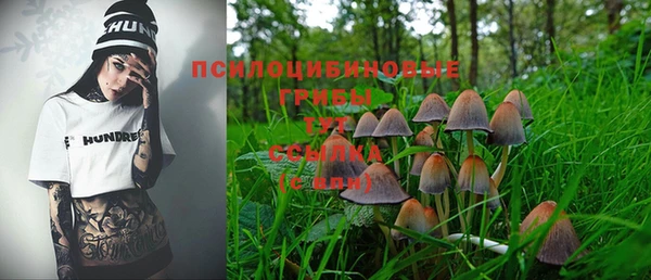 гидропоника Алексеевка