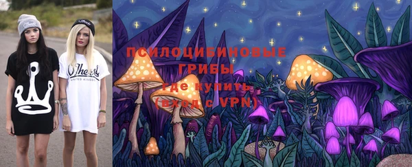 соль ск Аркадак