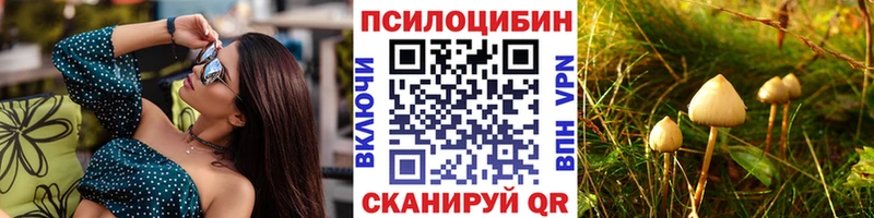 Псилоцибиновые грибы ЛСД сайты даркнета телеграм Пушкино