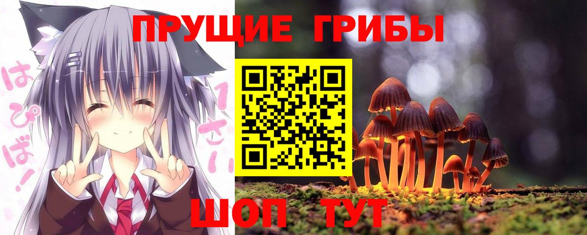 Псилоцибиновые грибы Cubensis  Вход с VPN  Пушкино 